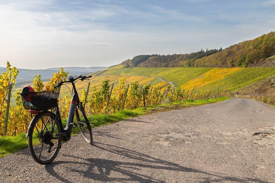 Fietsreis Maas, Elzas, Moezel Rijn