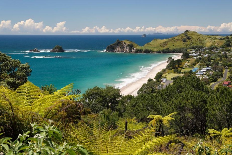 Hahei_Coromandel_shutterstock_2448712057.jpg