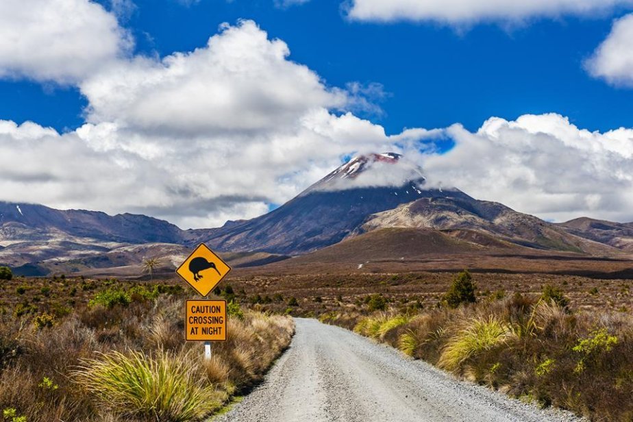 Tongariro National Park_shutterstock_1926789515.jpg