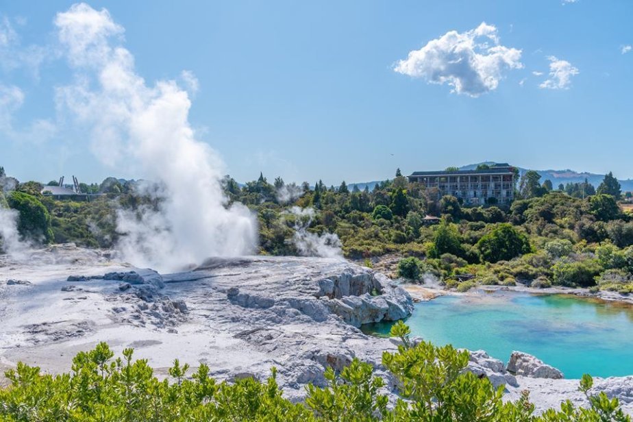 Pohutu-geiser_shutterstock_2096563342.jpg